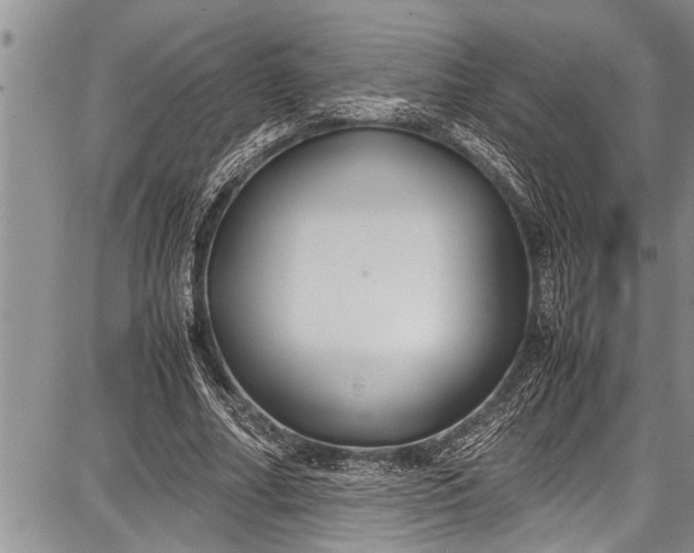 X0000087640682200705181526