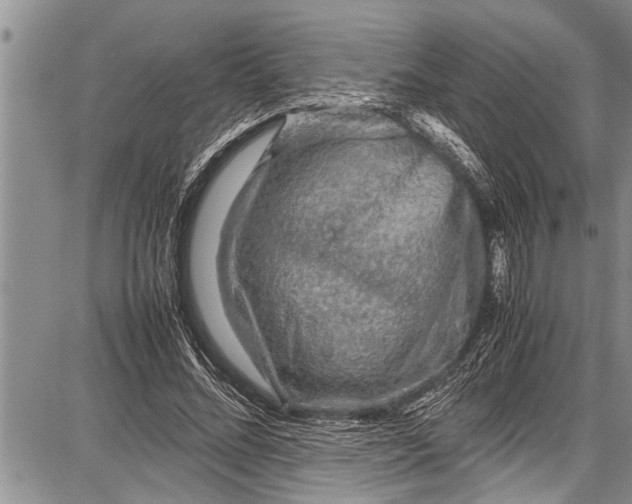 X0000087640684200705181526