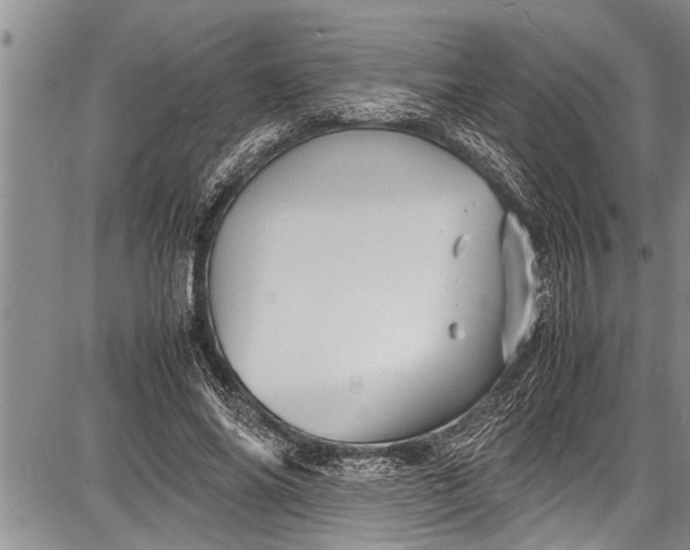 X0000087640686200705181526