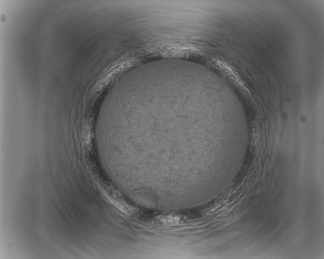 X0000087640687200705181526