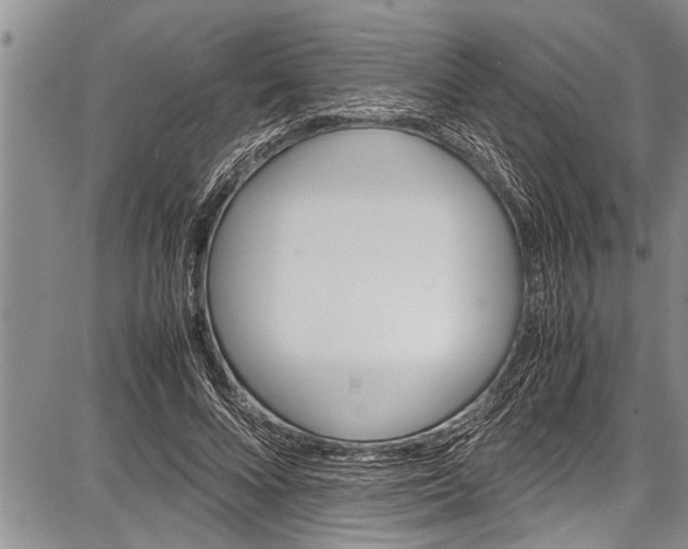 X0000087640688200705181526