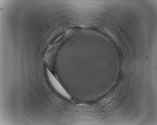 X0000087640689200705181526