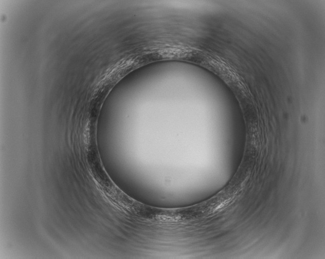 X0000087640690200705181526