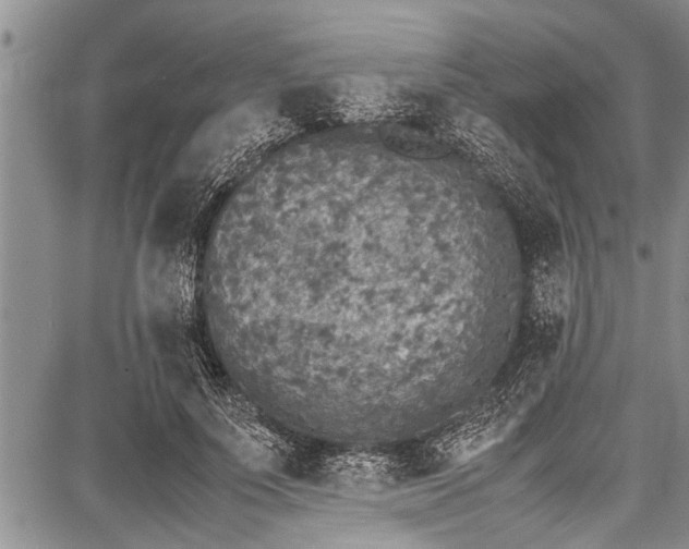 X0000087640691200705181526