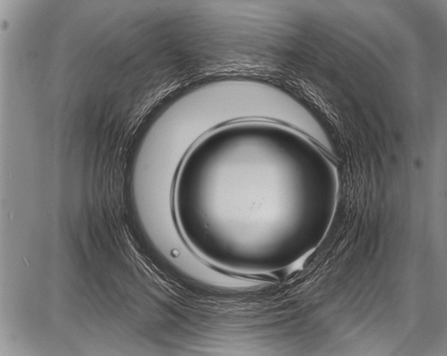 X0000087640692200705181526