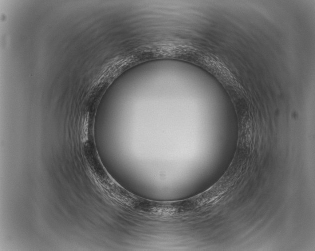 X0000087640694200705181526