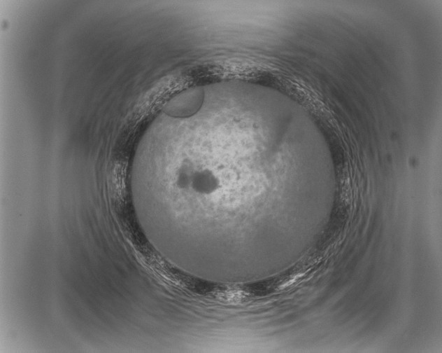 X0000087640695200705181526