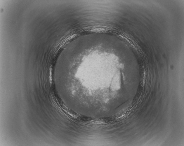 X0000087640696200705181526