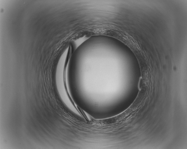 X0000087640697200705181526