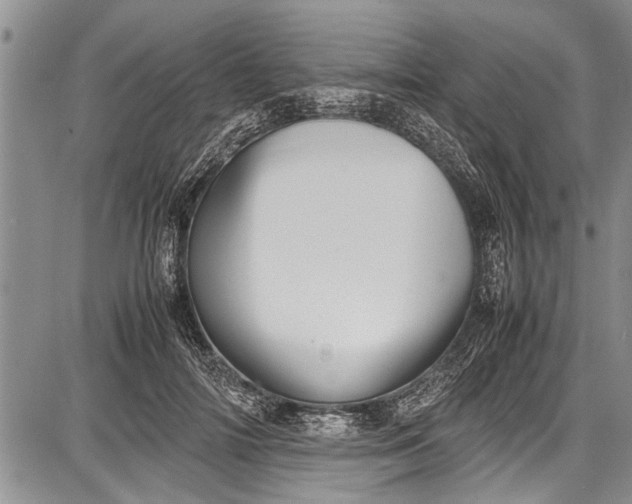 X0000087640698200705181526