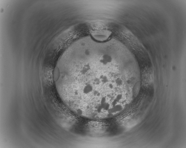 X0000087640699200705181526