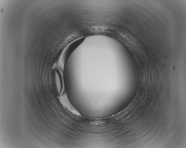 X0000087640700200705181526