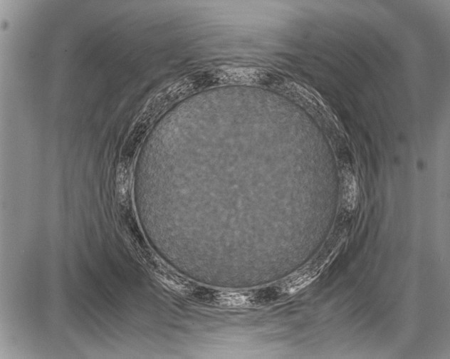 X0000087640701200705181526