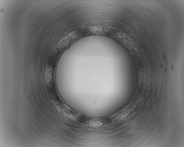 X0000087640702200705181526