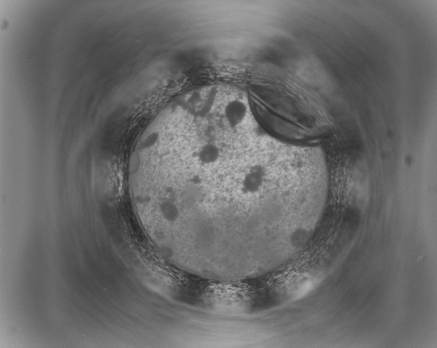 X0000087640703200705181526