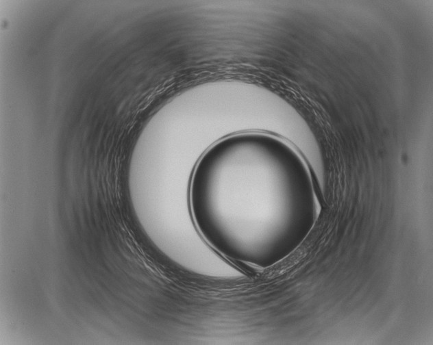 X0000087640704200705181526