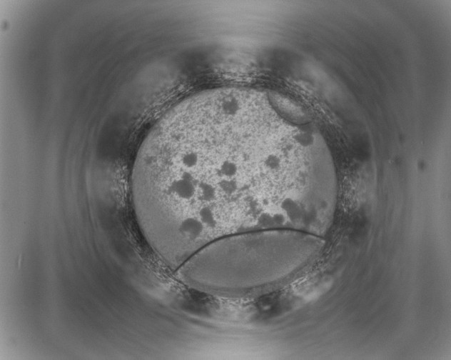 X0000087640707200705181525