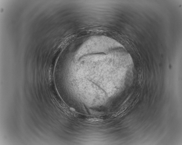 X0000087640708200705181525