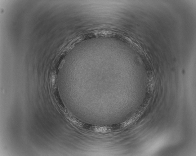 X0000087640709200705181525