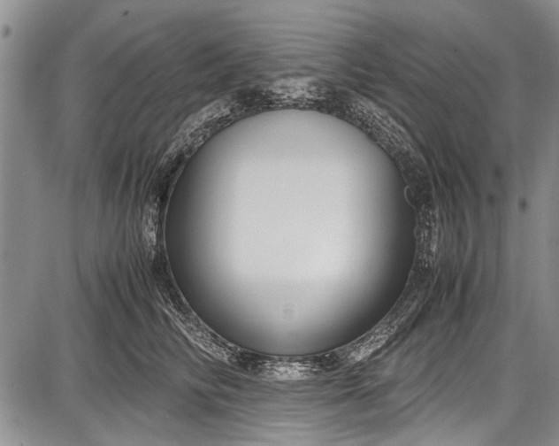 X0000087640710200705181525