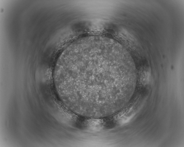 X0000087640711200705181525