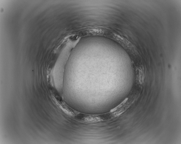 X0000087640712200705181525