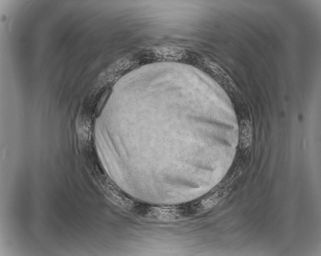 X0000087640713200705181525