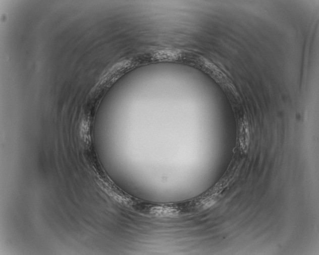 X0000087640714200705181525