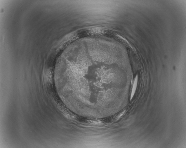 X0000087640715200705181525