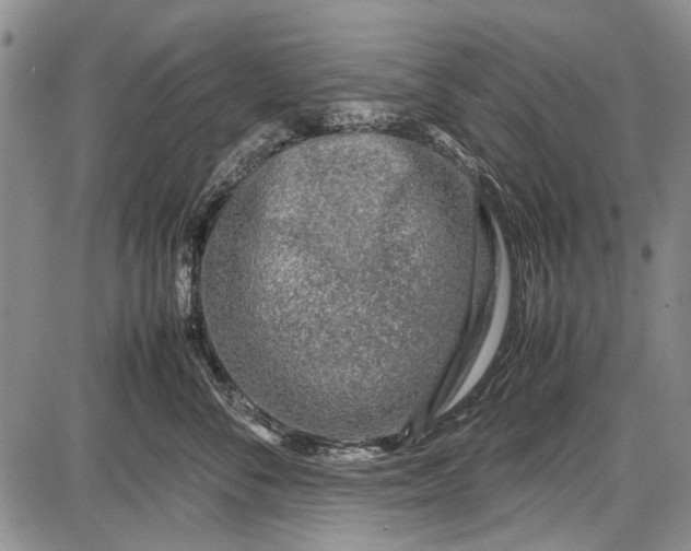 X0000087640716200705181525