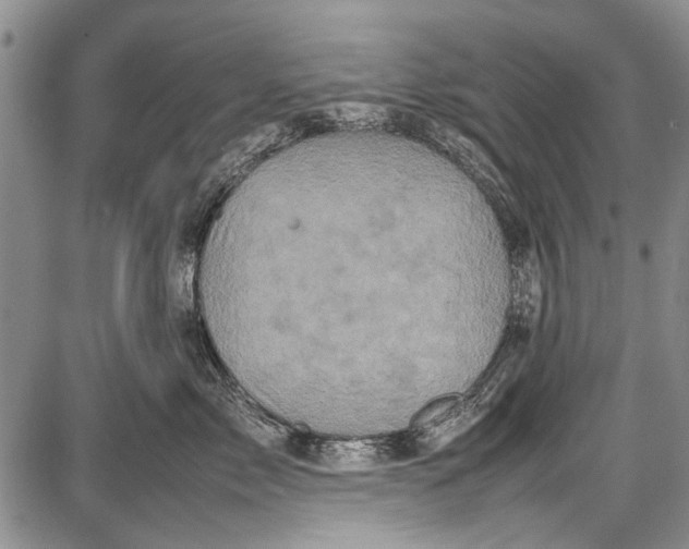 X0000087640717200705181525