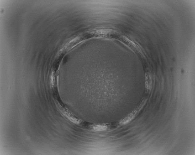 X0000087640718200705181525