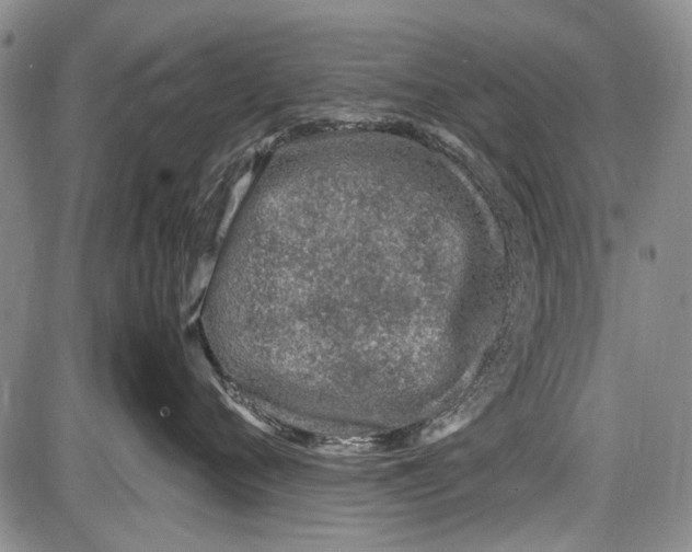 X0000087640720200705181525