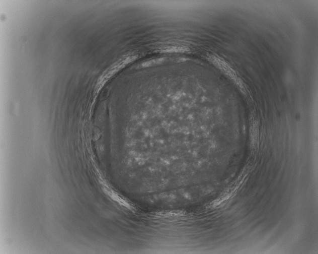 X0000087640721200705181524