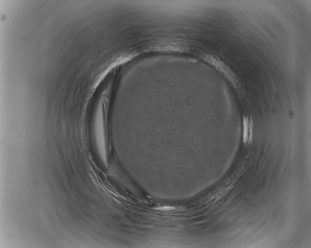 X0000087640723200705181525