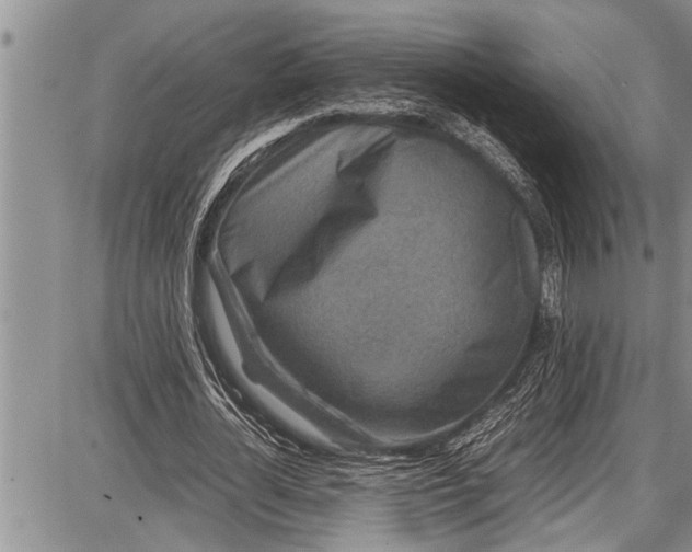 X0000087640724200705181525