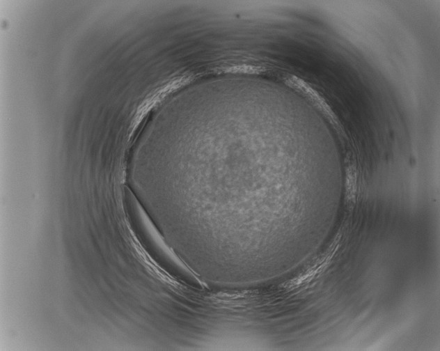 X0000087640725200705181525