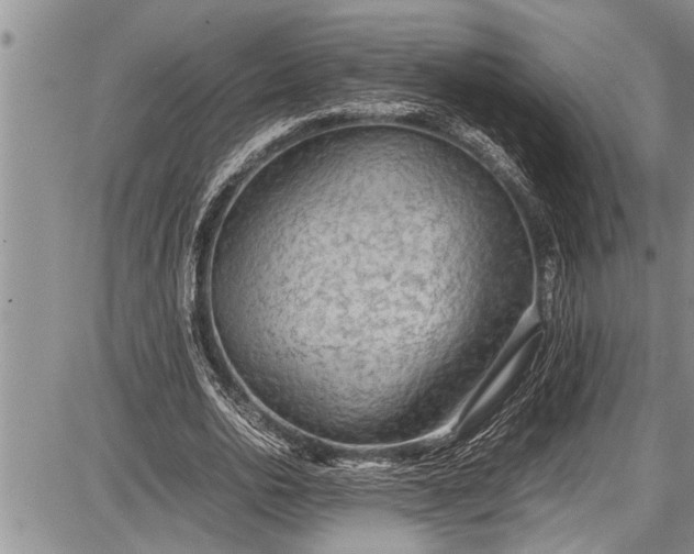 X0000087640726200705181525