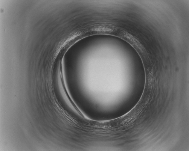 X0000087640727200705181525