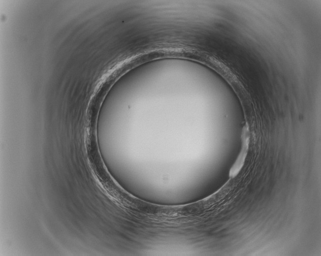 X0000087640728200705181525