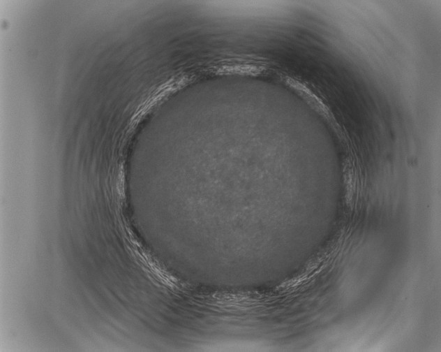 X0000087640729200705181525