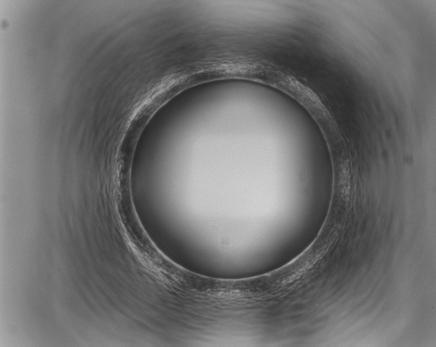 X0000087640730200705181525