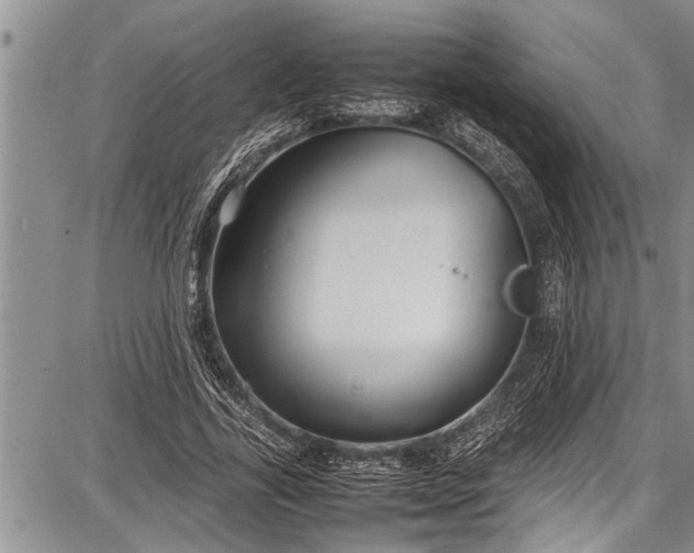 X0000087640731200705181525