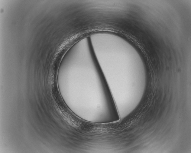 X0000087640732200705181525