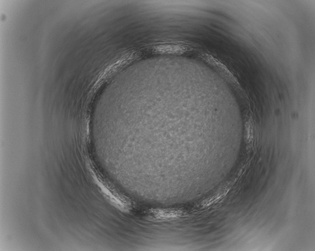 X0000087640733200705181525