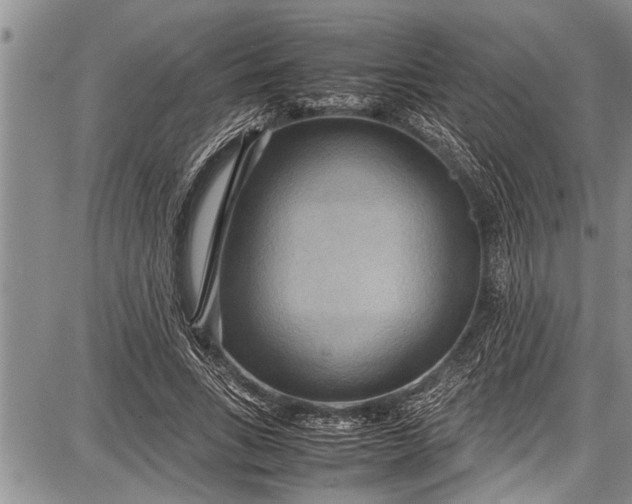 X0000087640735200705181525