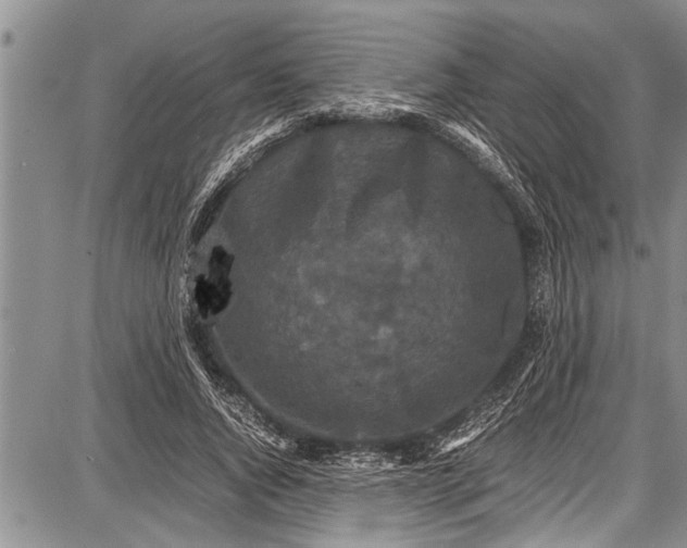 X0000087640736200705181525