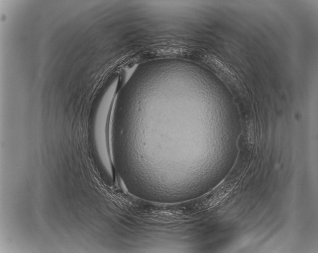 X0000087640737200705181525