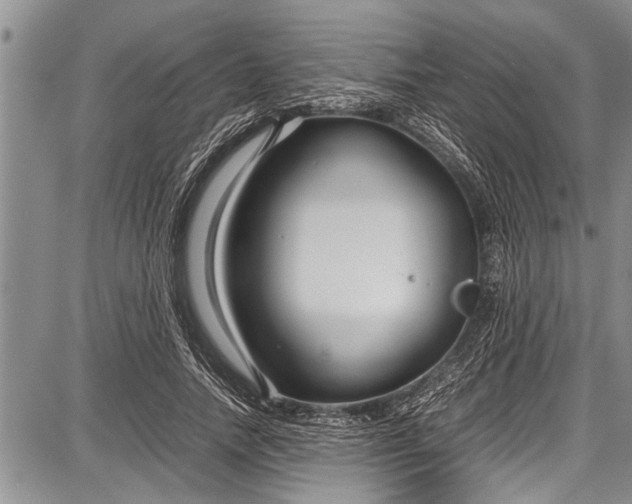 X0000087640738200705181525