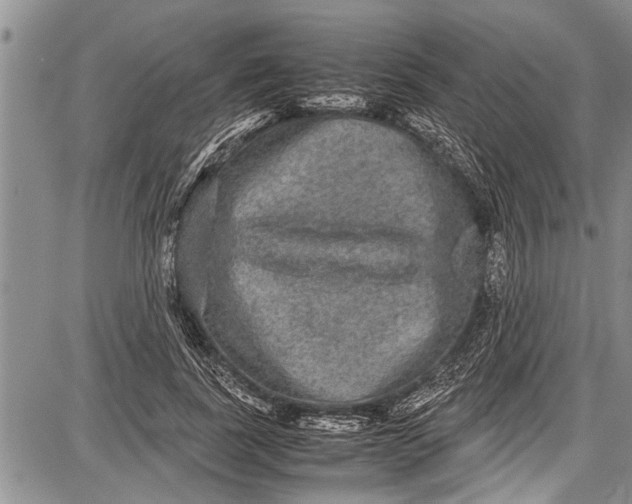 X0000087640739200705181525